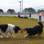 Tug O' War