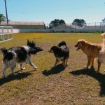 Tug O' War