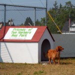 Abby & Dog House