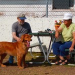 Picnic Table