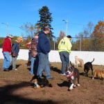 Autumn At The Dog Park