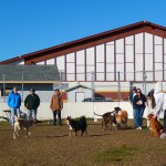 Dog Park Saturday