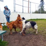 Mud Wrestling