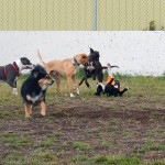 Soccer Scrum