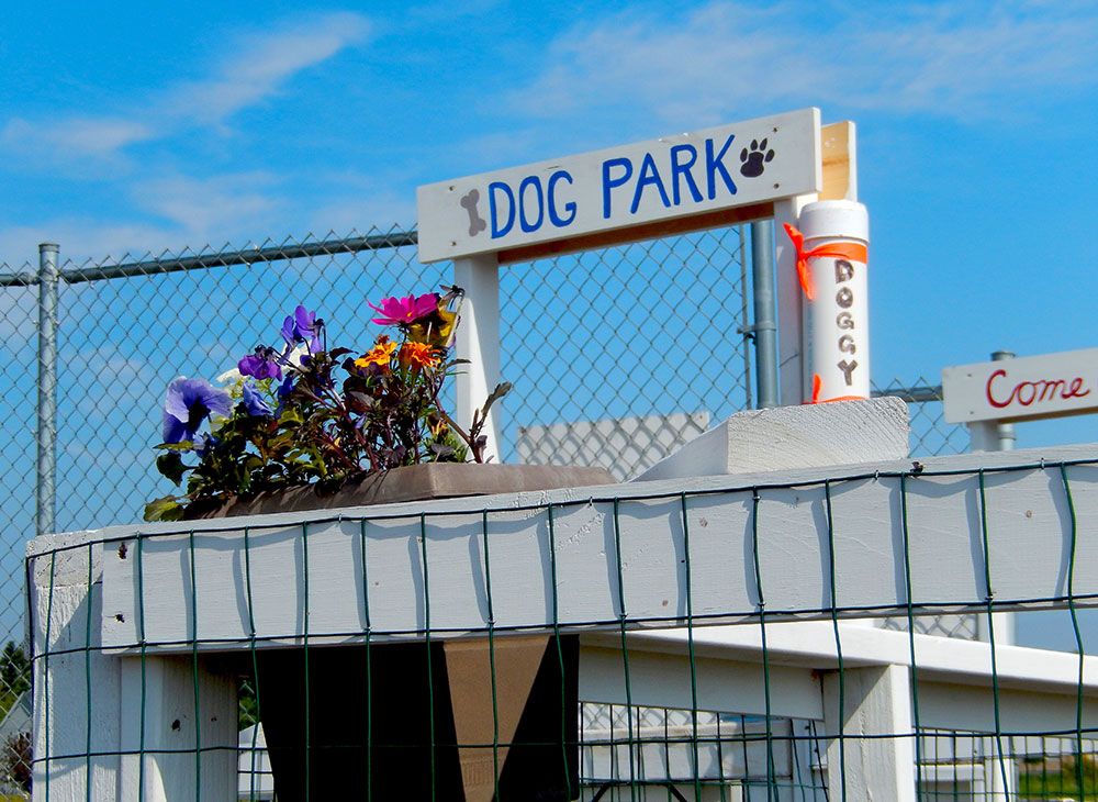 Lovely Dog Park